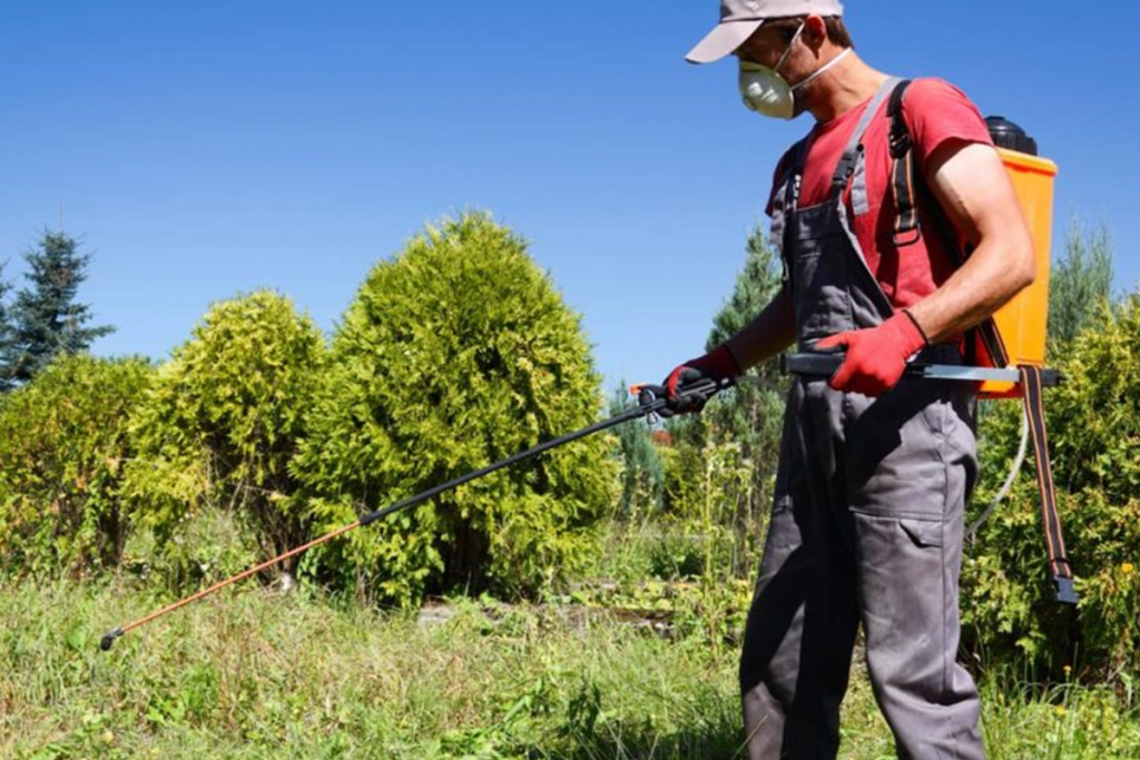 How To Use Herbicides Correctly