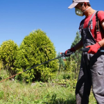 How To Use Herbicides Correctly